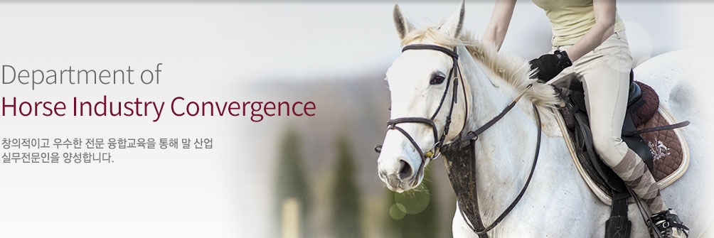Department of Horse Industry Convergence 창의적이고 우수한 전문 융합교육을 통해 말 산업 실무전문인을 양성합니다.